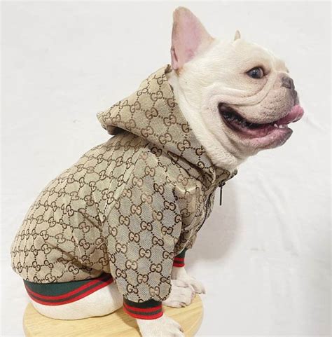 dog gucci clothes|designer dog clothes Gucci.